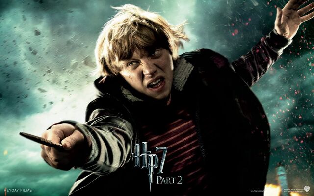 File:Harry-Potter-and-The-Deathly-Hallows-Part-2-Wallpapers-8.jpg