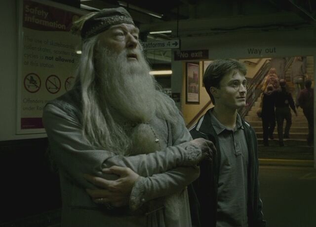 File:Dumbledore & Harry.jpg