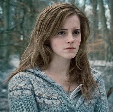 Harry Potter Hermine Harry Potter Hermine