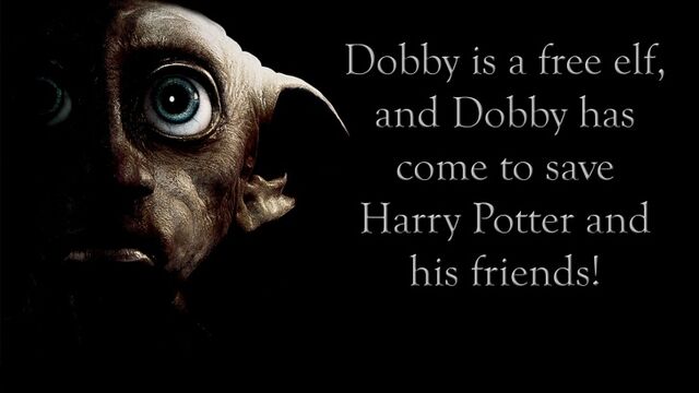 File:Dobby free elf.jpg