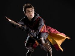 HarryQuiditch.jpg
