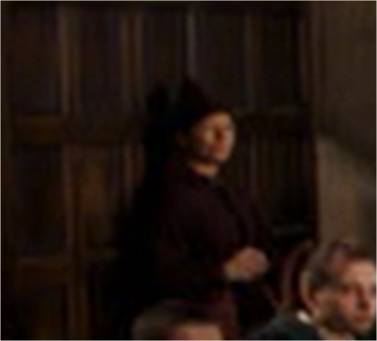 File:YB partner.png