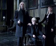 The malfoys.jpg