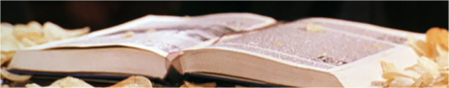 File:Book.png