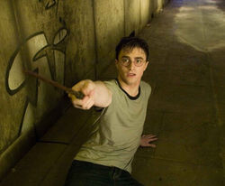 Harry5.4.jpg