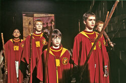 Gryffindor-quidditch.jpg