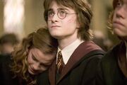 6-stills-mq-scarpotter-13 large.jpg