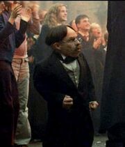 Professor-Flitwick-filius-flitwick-28226873-362-425.jpg