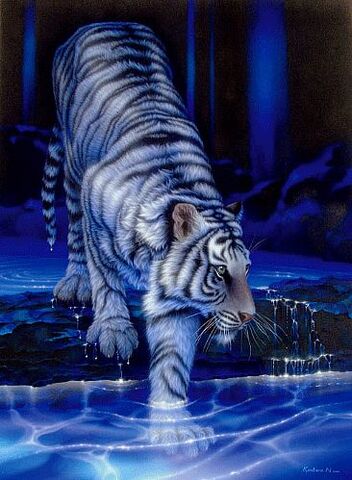 File:White tiger.jpg