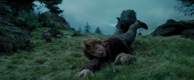 File:Sirius Black Attacking Ron.png