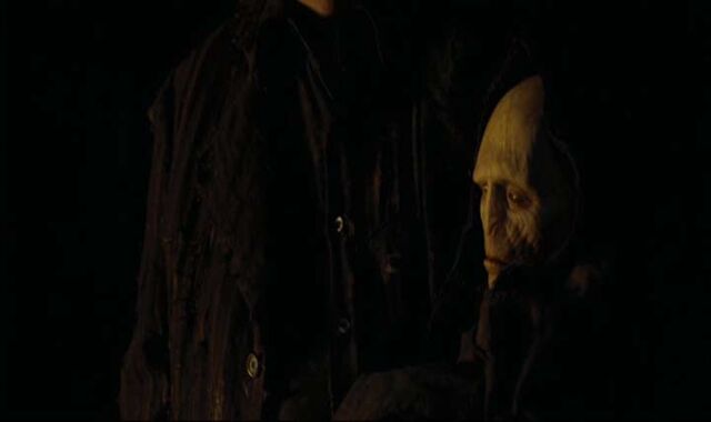 Bestand:Smallvoldemort.jpg