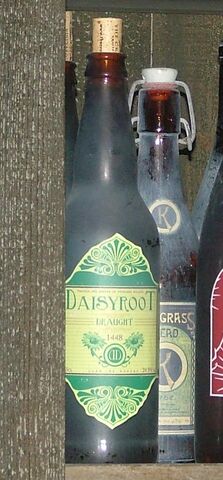File:Daisyroot Draught.jpg