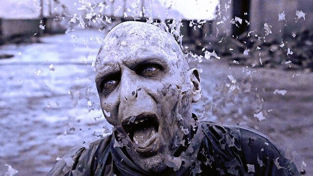 File:Lord Voldemort's Death.jpg