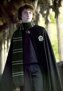 Harry Potter (Sytherin) IV