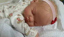 Baby Jez