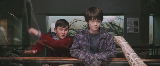 File:Purple and black check shirt.jpg