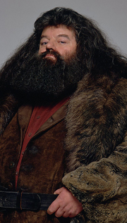 Rubeus hagrid.png