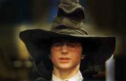 Harry&TheSortingHat.jpg