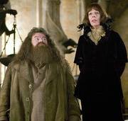 Hagrid9.jpg