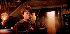 Harry gets his wand.gif