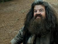 Hagrid8.jpg