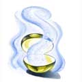 Books chapterart gof 25.jpg