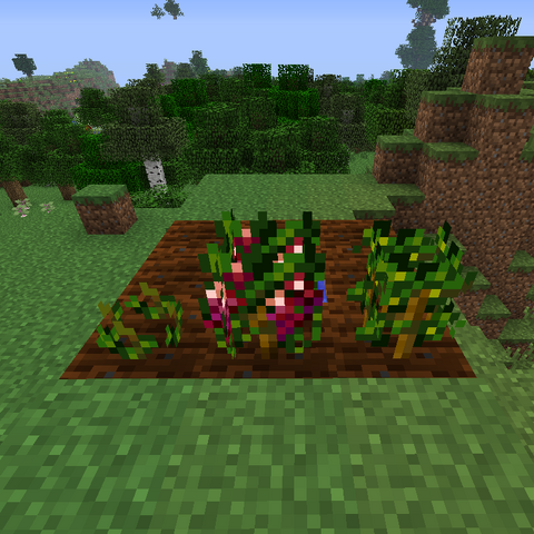 File:Grape Growth.png