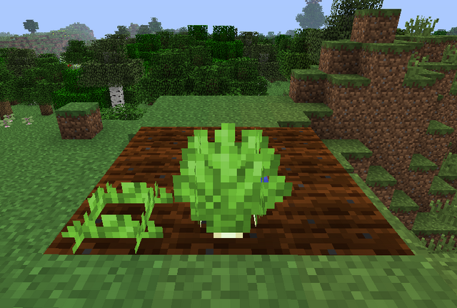 File:Celery Growth.png