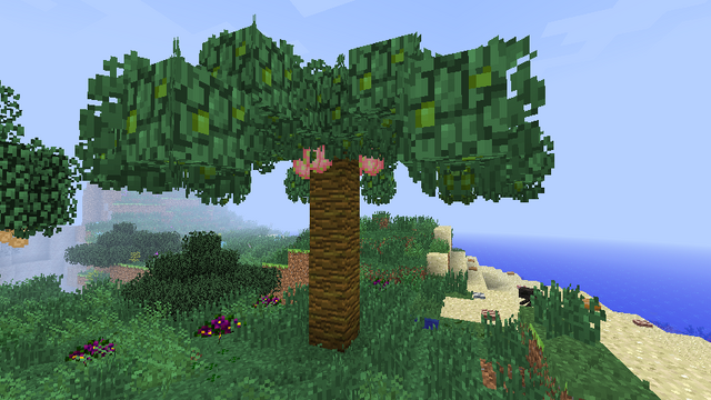 File:Dragonfruit.png