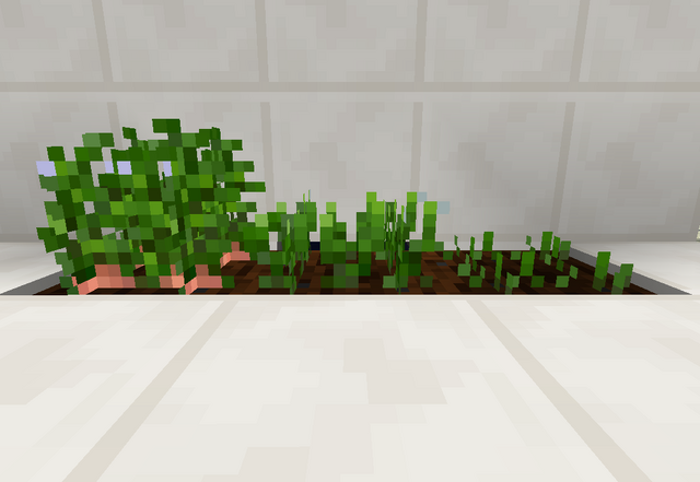 File:Sweetpotato.png
