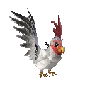 Image result for rune factory cluckadoo