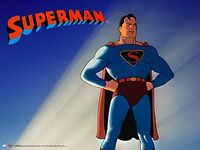 Fleishersuperman