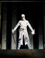 Stormshadow-movie2