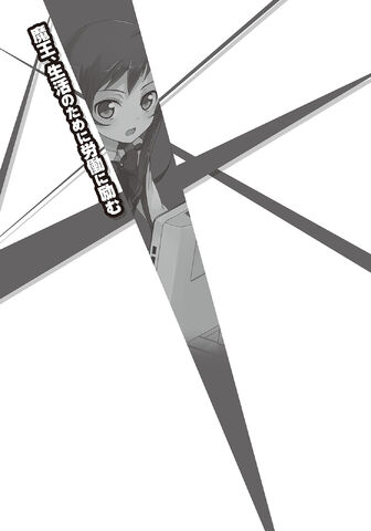 File:HatamaoV1 8.jpg