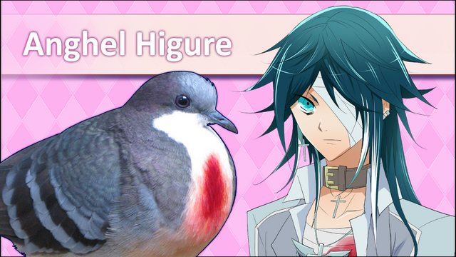File:AnghelHigureRemakeICPSS.png