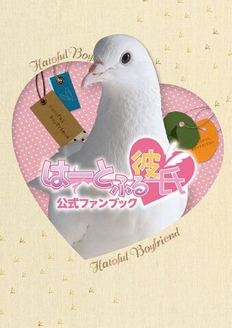 File:FanbookCover.jpg