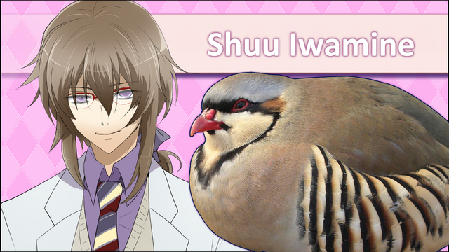 File:ShuuIwamineRemakeICPSS.png