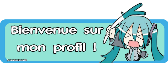 Fichier:Welcome Valentinou12.png