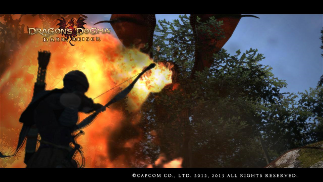 Datei:Wikia-Visualization-Add-1,dedragonsdogma.png