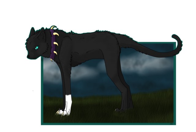 Datei:Wikia-Visualization-Add-2,degeisselfan.png