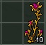 Thorny Thistle in inventory