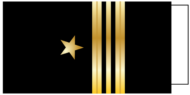 File:Navy Commander's Insignia.png