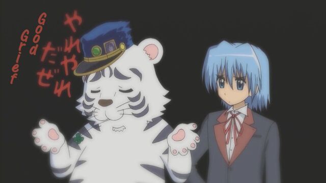 File:-SS-Eclipse- Hayate no Gotoku! - 24 (1280x720 h264) -800BD3D3-.mkv 000406206.jpg