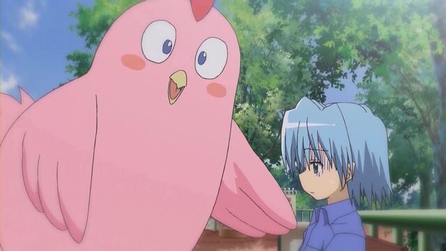 File:-SS-Eclipse- Hayate no Gotoku! - 21 (1280x720 h264) -4932D28D-.mkv 000447413.jpg