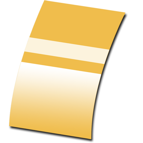 File:Golden Voucher.png