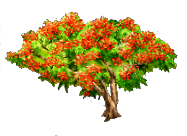 File:Royal Poinciana Tree.png