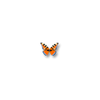 Farfalla arancione.png