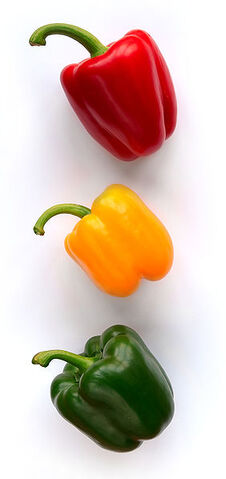 File:Bellpeppers.jpg