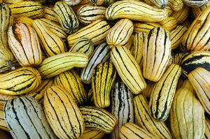 Delicatsquash