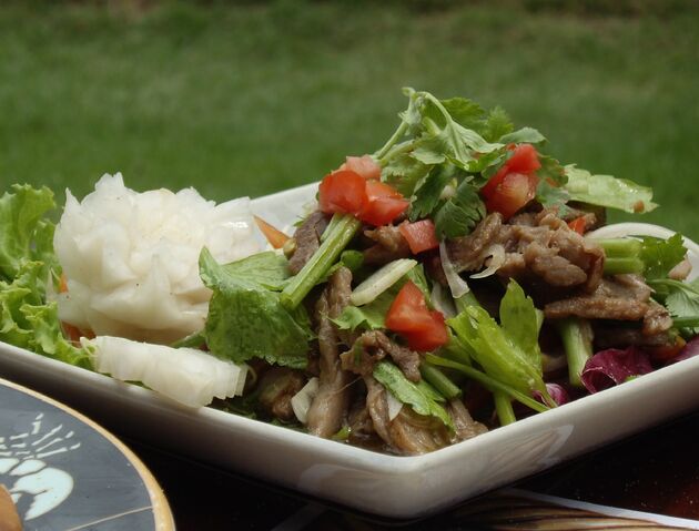 File:Thai Beef Salad Crop.jpg